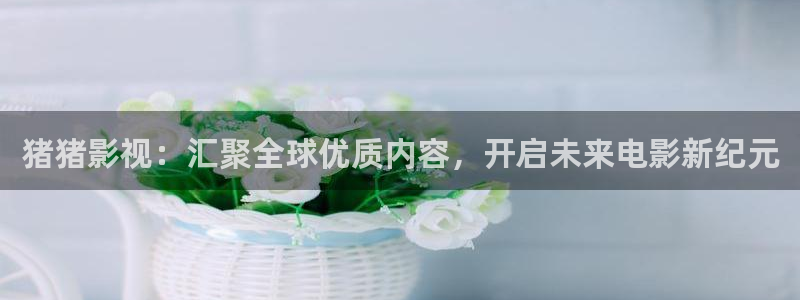 免费探花视频：猪猪影视：汇聚全球优质内容，开启未来电影新纪元