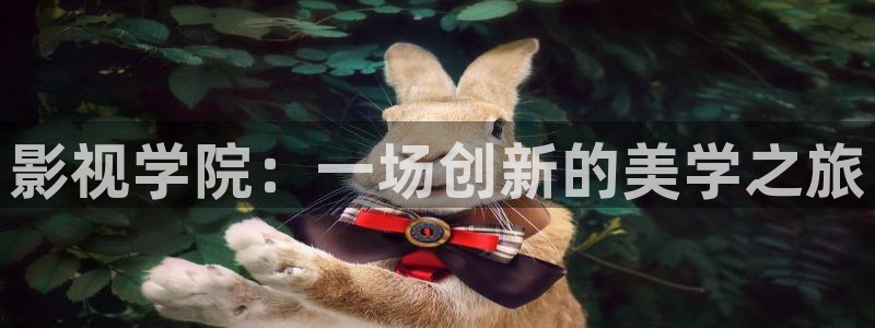 5g探花多人运动视频：影视学院：一场创新的美学之旅