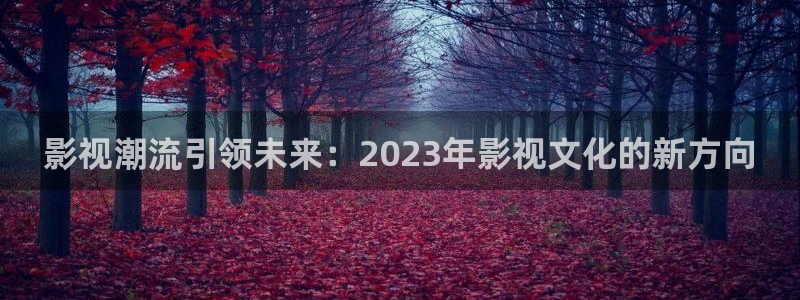 最新国产探花视频在线：影视潮流引领未来：2023年影视文化的新方向