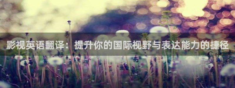 探花视频免费：影视英语翻译：提升你的国际视野与表达能力的捷径