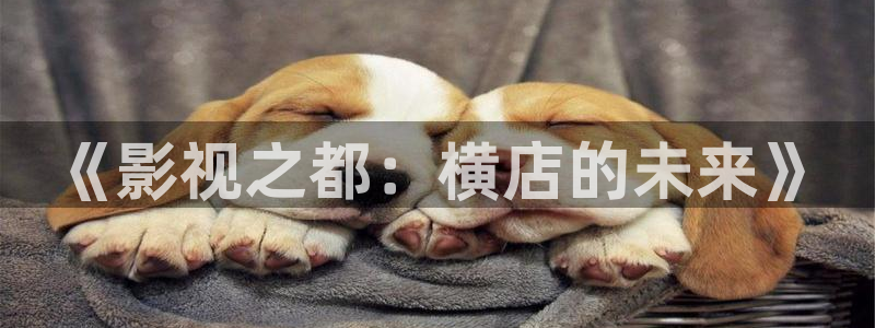 探花 视频在线观看免费：《影视之都：横店的未来》