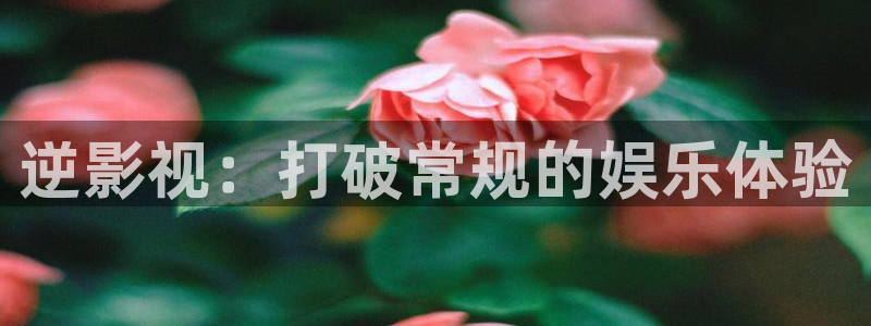 国内探花在线视频：逆影视：打破常规的娱乐体验