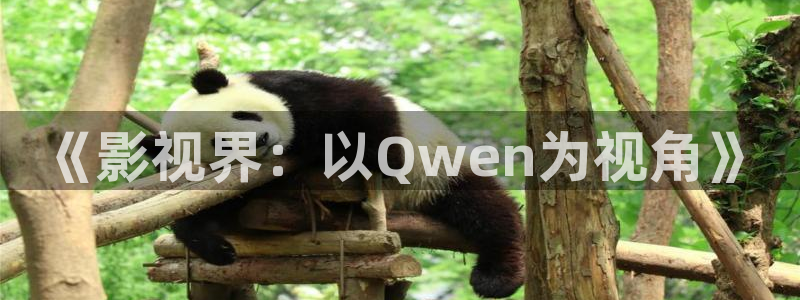 免费探花视频：《影视界：以Qwen为视角》