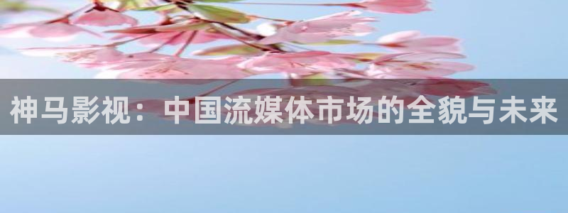 探花视频完整版免费观看：神马影视：中国流媒体市场的全貌与未来