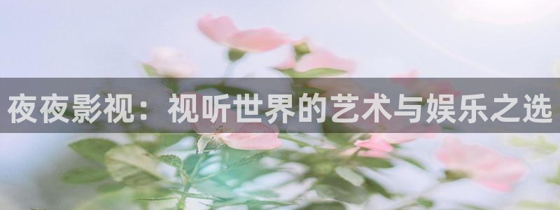 探花视频在线观看完整版：夜夜影视：视听世界的艺术与娱乐之选