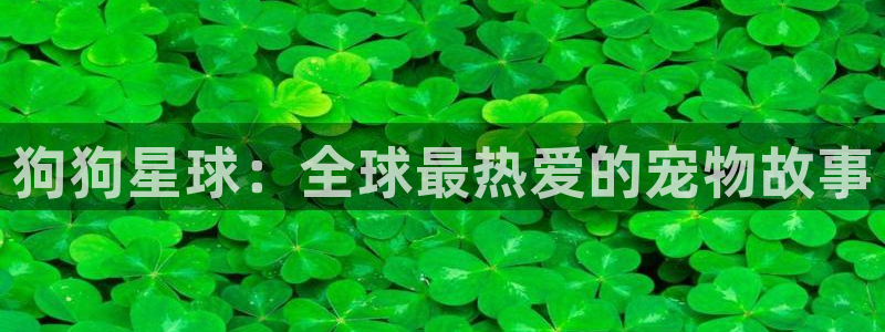 探花视频.：狗狗星球：全球最热爱的宠物故事
