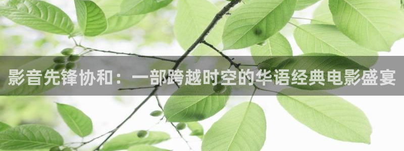 视频一区探花：影音先锋协和：一部跨越时空的华语经典电影盛宴